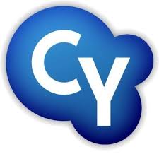 Cy-Heart , Established in 2013, 40 Franchise currently