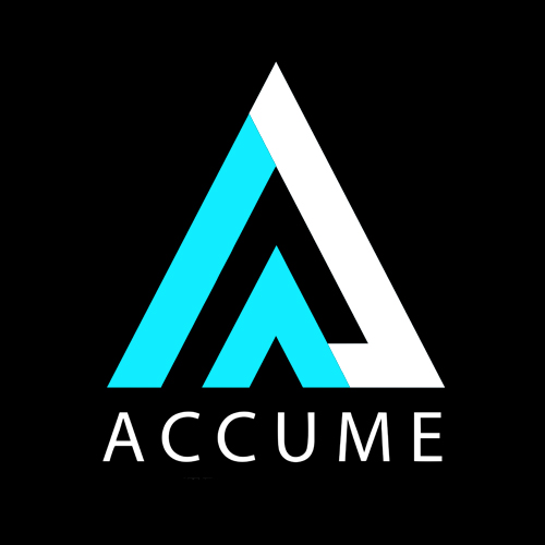 Accume Business Consultant, Established in 1999, 10 Franchise currently